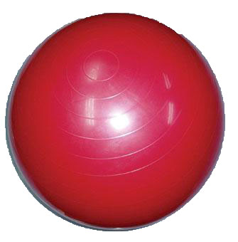 韵律球 55CM Exercise Ball  DFY-EXB01.jpg